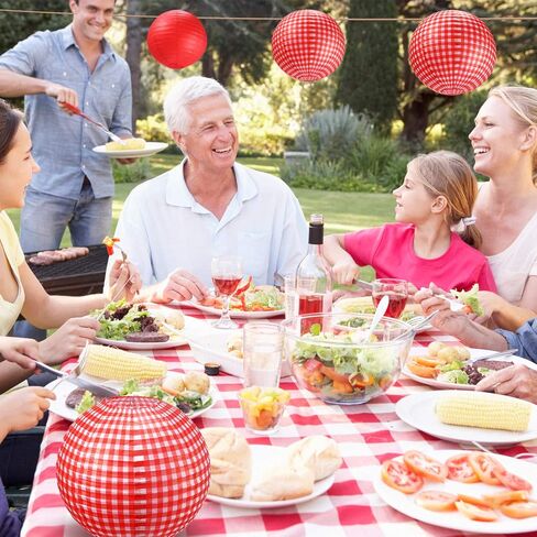 Blulu Picnic Party Decorations Red Paper Lanterns Checkered Round Hanging Lanterns for I Do BBQ Pizza Party Decorations Red and White Party Supplies(White and Red Plaid,6 Pieces) in Saudi Arabia