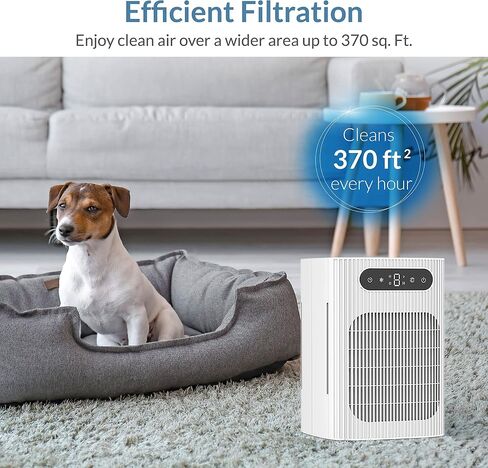 XP120 Veteran Owned, Desk & Countertop Air Purifier with Dual Air Intake Power, 2 Sets of Filters & 4 Stage Filtration for up to 370 Sq Ft., Black, Pack of 1 in Saudi Arabia