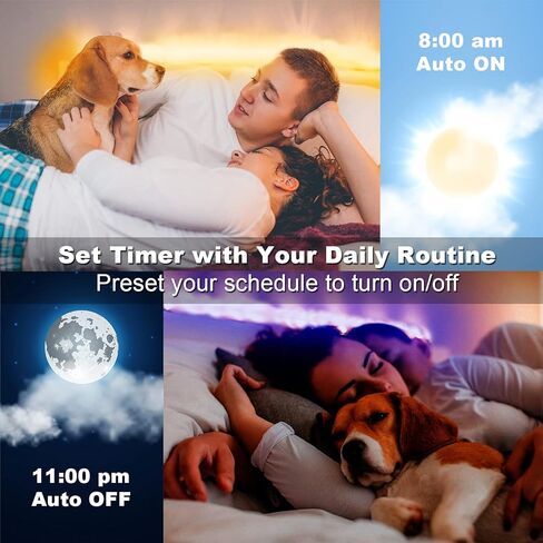 DAYBETTER أضواء الشريط الذكية المتغيرة الألوان مع التحكم عن بعد في التطبيق، مزامنة الموسيقى 5050 RGB لتزيين غرفة النوم، 100 قدم، لفتان بطول 50 قدم in Kuwait