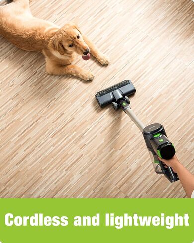 daski Cordless Vacuum Cleaner - 23KPa Powerful Suction for Pet Family, 8 in 1 D10 Green Stick Vacuum for Carpet, Hard Floor & Pet Hair, Wall-Mounted Dock, Lightweight in Saudi Arabia
