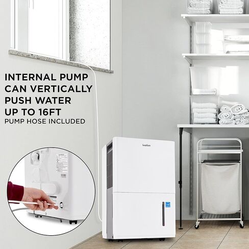 إيفيشن 1,500 قدم مربع. جهاز إزالة الرطوبة من Ft Energy Star، جهاز إزالة الرطوبة بضاغط كبير السعة للغرف الكبيرة جدًا والأقبية مع موصل خرطوم الصرف المستمر، والتحكم في الرطوبة، والإغلاق التلقائي وإعادة التشغيل in Kuwait