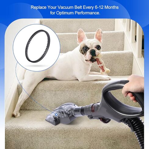 حزام بديل LANMU متوافق مع فرشاة Shark Pet الكهربائية موديل 3259FL680EU-UK (عبوتان) in Kuwait