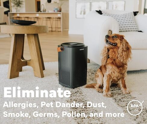 Calmyst HEPA PRO Air Purifier for Dust and Allergies – Clean 1194 sqft – Filter 99.99% Dust, Pet Dander, Smoke, 9x Better Odor Removal, Whisper Quiet, Dust Removal Air Purifier - 2PACK in Saudi Arabia
