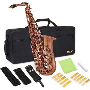 Alto Saxophone E Flat Brass Sax Kit, Professional Sound, Complete Accessories, Ideal for All Players, Includes Hard Case, 10 Extra Reeds, Strap, Gloves, Cleaning Kit & More, Antique Bronze in Saudi Arabia
