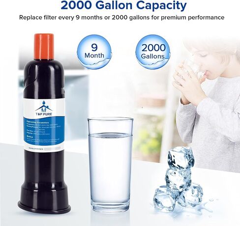 WOHOGOOD F2WC9I1/P6RFWG2K Cap Ice Maker Filter Compatible with ice2 f2wc9i1 W10565350, W10480323 Part (2 Pack) in Saudi Arabia