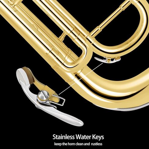 ROWELL Euphonium 3 صمامات Bb النحاس طلاء الذهب 3 الفولاذ المقاوم للصدأ مكابس متوسطة متقدمة إفونيوم مع قفازات حافظة وقماش تلميع in Kuwait