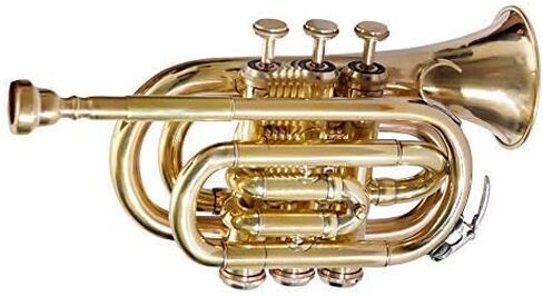 Sai Musical Pocket Trumpet 3 Valve's Pro Shinning Brass with Mouth Piece and Case in Kuwait