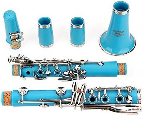 Glory GLY-PBK Professional Ebonite Bb Clarinet with 10 Reeds, Stand, Hard Case, Cleaning Cloth, Cork Grease, Mouthpiece Brush and Pad Brush, Black in Saudi Arabia
