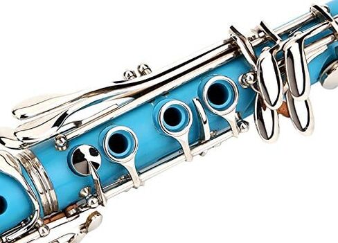 Glory GLY-PBK Professional Ebonite Bb Clarinet with 10 Reeds, Stand, Hard Case, Cleaning Cloth, Cork Grease, Mouthpiece Brush and Pad Brush, Black in Saudi Arabia
