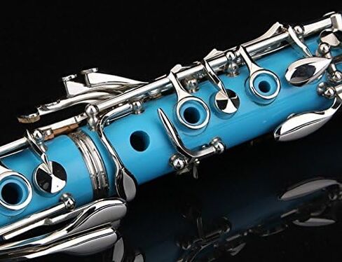 Glory GLY-PBK Professional Ebonite Bb Clarinet with 10 Reeds, Stand, Hard Case, Cleaning Cloth, Cork Grease, Mouthpiece Brush and Pad Brush, Black in Saudi Arabia