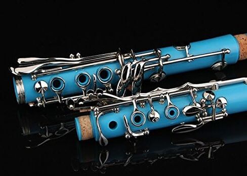 Glory GLY-PBK Professional Ebonite Bb Clarinet with 10 Reeds, Stand, Hard Case, Cleaning Cloth, Cork Grease, Mouthpiece Brush and Pad Brush, Black in Saudi Arabia