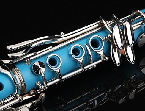 Glory GLY-PBK Professional Ebonite Bb Clarinet with 10 Reeds, Stand, Hard Case, Cleaning Cloth, Cork Grease, Mouthpiece Brush and Pad Brush, Black in Saudi Arabia