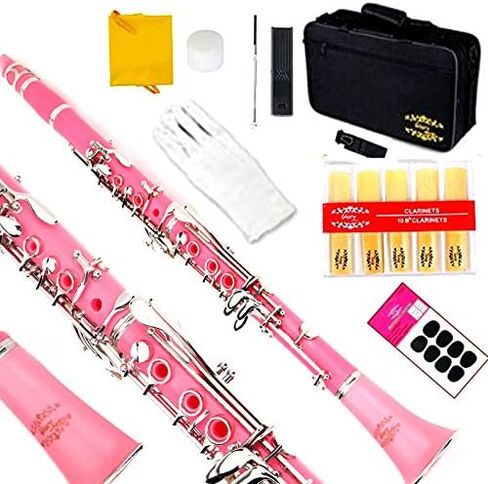 Glory GLY-PBK Professional Ebonite Bb Clarinet with 10 Reeds, Stand, Hard Case, Cleaning Cloth, Cork Grease, Mouthpiece Brush and Pad Brush, Black in Saudi Arabia