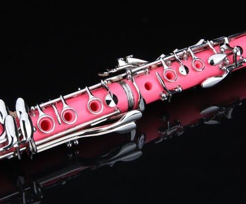 Glory GLY-PBK Professional Ebonite Bb Clarinet with 10 Reeds, Stand, Hard Case, Cleaning Cloth, Cork Grease, Mouthpiece Brush and Pad Brush, Black in Saudi Arabia
