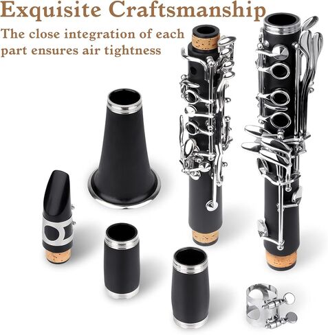 سلايد كلارينيت للطلاب المبتدئين من بي بي كلارينيت مع حافظة كلارينيت مسطحة B وحامل و10 قصبات ومجموعة تنظيف الكلارينيت in Kuwait