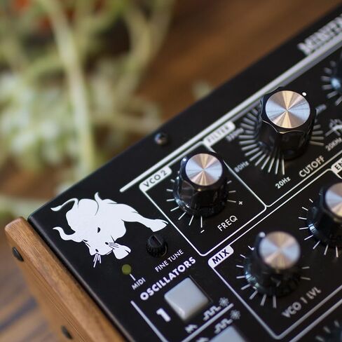 Moog Minitaur Bass Synthesizer in Saudi Arabia