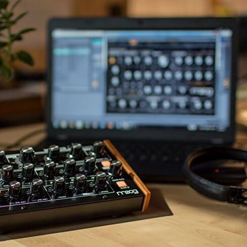 Moog Minitaur Bass Synthesizer in Saudi Arabia