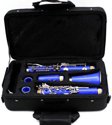 Tosnail 600D Water-resistant Foam Cotton Padded Clarinet Case, Clarinet Gig Bag in Saudi Arabia