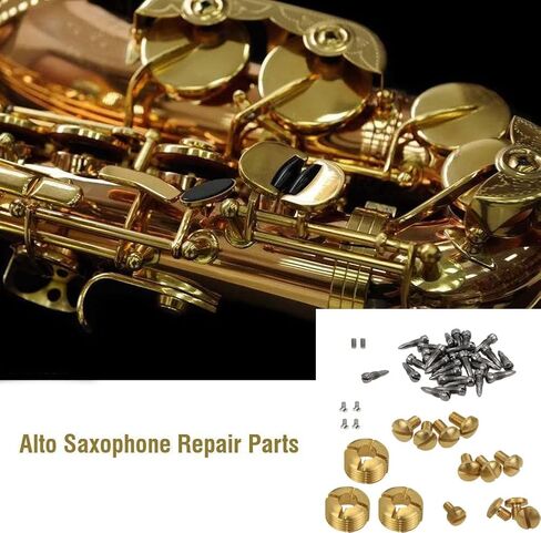 TUOREN 1 Set of Alto Saxophone Repair Kits Wind Musical Instrument Parts with Rat-tail Screws + Round Head Screws + Nut DIY Accessories in Saudi Arabia