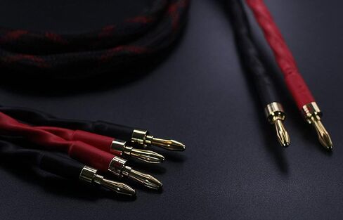 k4B-2B Bi-Wire Speaker Cable, 2.5M (8.2ft) PER Wire, 1pair Set (Total 12 Banana Plugs), Black, Male-to-Male, Outdoor, FCC Certified in Kuwait
