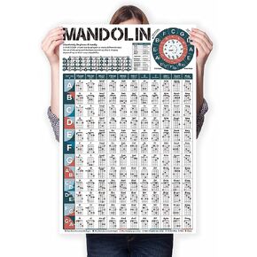 Circle of Fifths Poster Chart for Guitar Piano Keyboard, Circle of Fifths Wheel Music Theory Poster for Beginner and Teachers, Circle of Fifths Chord Chart Poster Printed Waterproof Paper in Saudi Arabia