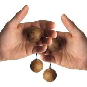 زوج متطابق (2) من أصلاتوا كاشاكا الأفريقية، هزازات بذور أصلية (متوسط: 1.75 بوصة + حبل 3.5 بوصة) ASLA2M in Kuwait