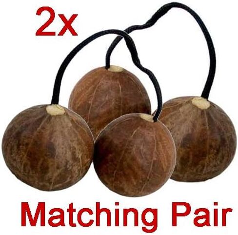 زوج متطابق (2) من أصلاتوا كاشاكا الأفريقية، هزازات بذور أصلية (متوسط: 1.75 بوصة + حبل 3.5 بوصة) ASLA2M in Kuwait