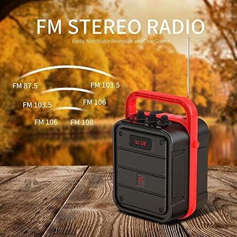 Shinco Bluetooth Speaker with Microphone, Portable Karaoke Machine with Remote Control, Audio Recording, FM Radio, Perfect for Kids in Saudi Arabia
