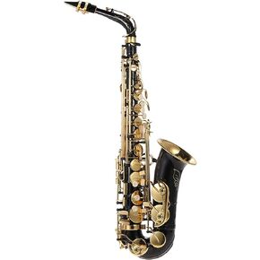 summina Eb Alto Saxophone Brass Lacquered Gold E Flat Sax 82Z Key Type Woodwind Instrument with Cleaning Brush Cloth Gloves Strap Padded Case in Saudi Arabia