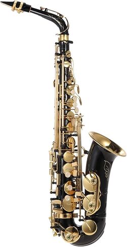 Sumina Eb Alto Saxophone نحاس مطلي بالذهب E مسطح Sax 82Z نوع مفتاح آلة النجارة مع فرشاة تنظيف قفازات قماش حزام مبطن in Saudi Arabia