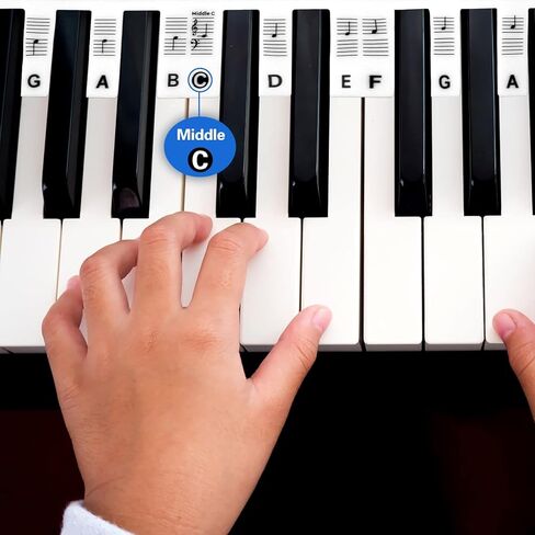 ملصقات ملاحظات لوحة مفاتيح البيانو من السيليكون قابلة للإزالة، ملصقات لوحة مفاتيح البيانو للأطفال المبتدئين، 61 مفتاحًا 1:1 دليل ملاحظات البيانو بالحجم الكامل بدون لصق للمبتدئين، ملصقات مفاتيح البيانو القابلة للإزالة (أسود) in Kuwait