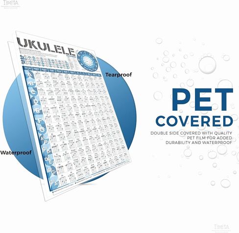 Ukulele Chord Chart, An Educational Ukelele Chords Poster for Beginners and Teachers, Ukelele Fretbaord Notes, Music Theory, Circle of Fifths - Perfect Learning Tool for Acoustic Ukulele in Saudi Arabia
