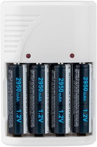 Zoom B1XFOUR معالج جيتار متعدد التأثيرات مع دواسة التعبير + 4 بطاريات AA وشاحن + كابل + قطعة قماش - حزمة ذات قيمة عالية in Kuwait
