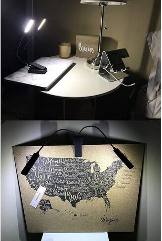 Lumiens Brooklyn - Music Stand Light Clip On - LED Musician Lamp for All Music Stands, Pianos, Orchestra Pits, Work Tables, Desks, and More - #1 Among Music Stand Lights - AAA Battery Powered in Saudi Arabia