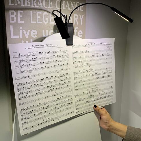 Lumiens Brooklyn - Music Stand Light Clip On - LED Musician Lamp for All Music Stands, Pianos, Orchestra Pits, Work Tables, Desks, and More - #1 Among Music Stand Lights - AAA Battery Powered in Saudi Arabia