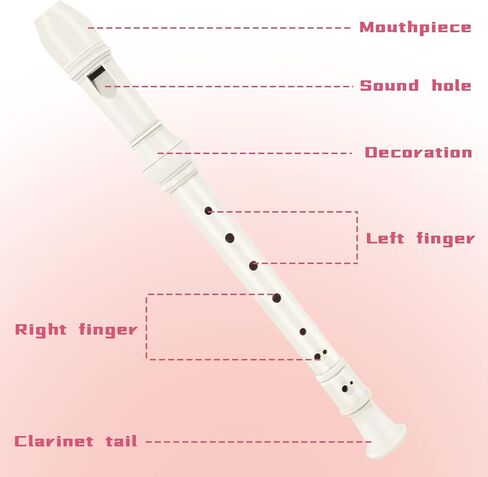 Soulmate Recorder Instrument for Kids Toddler Beginners Students German Style C Key Soprano Recorder Instrument 8 Holes 3 Piece ABS Descant Recorders with Cleaning Kit, Packing Bag (Black) in Kuwait