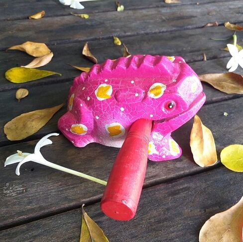 5" Wooden Frog Percussion Instrument Wood Frog Guiro Rasp Tone Block Thailand Handcraft Musical Lucky Frog Home Office Decoration Nice Gift (Brown) in Kuwait