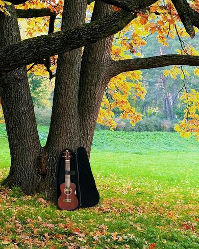Journey Instruments Meranti Concert Travel Ukulele – UC770CE السفر بحجم الحفلة الموسيقية القيثارة – أفضل أفضل الآلات الموسيقية لرحلات الطريق – حقيبة القيثارة للسفر in Kuwait