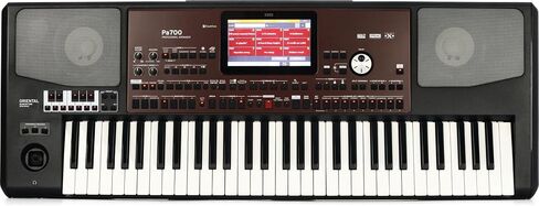 Korg Pa700 Oriental 61-Key Arranger Workstation in Saudi Arabia