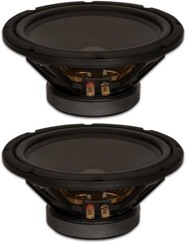 Goldwood Sound, Inc. مضخم صوت مسرحي، مكبرات صوت شديدة التحمل 8 أوم مقاس 10 بوصات بقدرة 400 وات لكل مجموعة مكبرات صوت بديلة (GW-10PC-8-2) in Kuwait