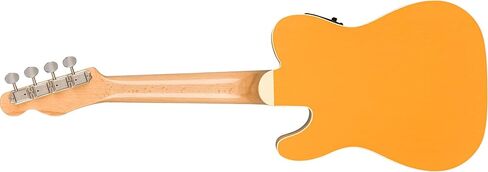 Fender Fullerton Jazzmaster Concert Ukulele, Tidepool in Saudi Arabia