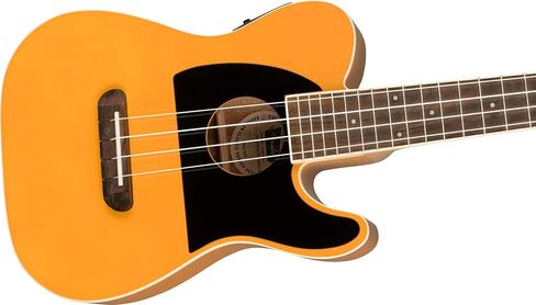 Fender Fullerton Jazzmaster Concert Ukulele, Tidepool in Saudi Arabia