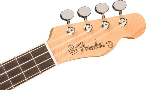 Fender Fullerton Jazzmaster Concert Ukulele, Tidepool in Saudi Arabia
