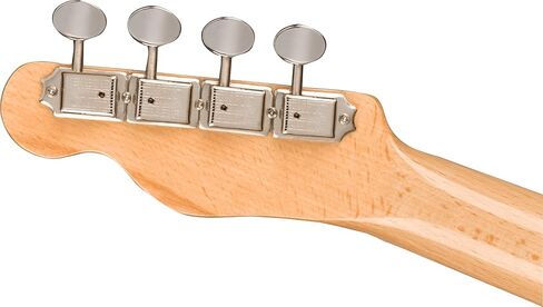 Fender Fullerton Jazzmaster Concert Ukulele, Tidepool in Saudi Arabia