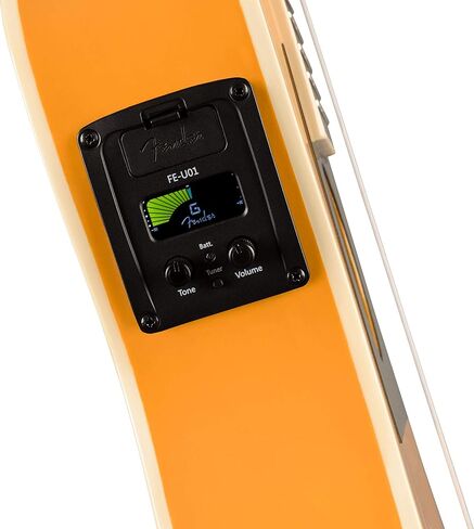 Fender Fullerton Jazzmaster Concert Ukulele, Tidepool in Saudi Arabia
