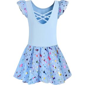 DANSHOW Ballet Leotards for Girls Dance Skirted Leotard Kids Ballet Tutu Dress Toddler Shiny Ruffle Sleeve Dancewear
