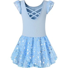 DANSHOW Ballet Leotards for Girls Dance Skirted Leotard Kids Ballet Tutu Dress Toddler Shiny Ruffle Sleeve Dancewear in Saudi Arabia