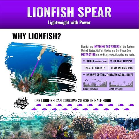 اكواتيك هانت - حزام مطاطي بديل لصيد السمك بالرمح والغوص وسمك الاسد مقاس 36 انش in Kuwait