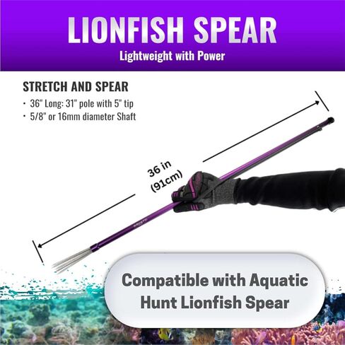 اكواتيك هانت - حزام مطاطي بديل لصيد السمك بالرمح والغوص وسمك الاسد مقاس 36 انش in Kuwait