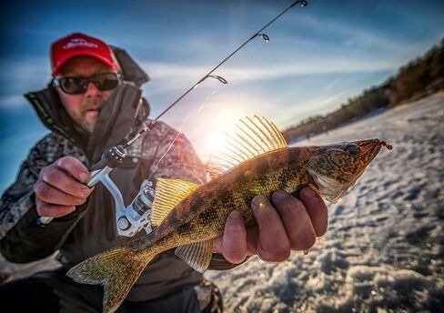 Frabill Pro Thermal Tip-Up | Freeze-Proof Insulated Design | Strike Indicator for Ice Fishing | Available in Multiple Styles in Kuwait